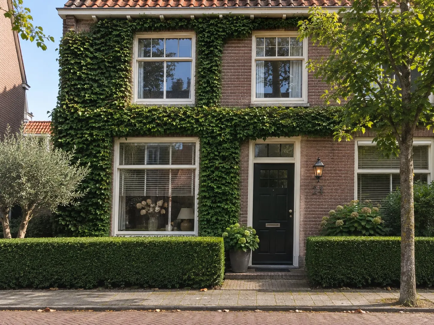 Onderhouden voortuin met een strak geschoren beukenhaag langs de stoep en een gevel met klimop